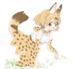  1girl animal_ears bare_shoulders blonde_hair bow bowtie cat_teaser commentary_request elbow_gloves extra_ears eyebrows_visible_through_hair gloves grass high-waist_skirt kemono_friends kneeling kona_ming print_gloves print_legwear print_neckwear print_skirt serval_(kemono_friends) serval_ears serval_girl serval_print serval_tail shirt short_hair skirt sleeveless solo tail thighhighs white_shirt yellow_eyes zettai_ryouiki 