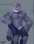  absurd_res anthro crotch_tuft erection genitals hi_res humanoid_genitalia humanoid_penis looking_at_viewer male mammal marine muscular muscular_anthro muscular_male my_hero_academia pecs penis pinniped seal selkie_(my_hero_academia) smile smirk solo spectral-bat tuft 