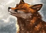  2020 ambiguous_gender canid canine digital_media_(artwork) feral flashw fox fur headshot_portrait mammal orange_body orange_fur portrait smile solo 