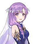  braid dare_ga_tame_no_alchemist highres nicaea purple_hair 