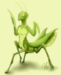  6_legs ambiguous_gender antennae_(anatomy) anthro arthropod green_body green_eyes hi_res insect junijoobs mantis simple_background solo solo_focus thorax 