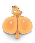  backsack balls big_butt butt domestic_cat felid feline felis feral garfield_(series) garfield_the_cat genitals hi_res huge_butt looking_at_viewer looking_back looking_back_at_viewer male mammal nude orange_body perineum presenting presenting_hindquarters raised_tail simple_background sitting solo sqoon striped_body stripes white_background 