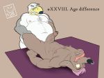  age_difference anal anal_penetration anthro avian belly bird camsan_r_s duo facial_piercing gull gunnar hair hi_res kangaroo lari larid lying macropod male male/male male_penetrated male_penetrating male_penetrating_male mammal marsupial missionary_position nipples nose_piercing on_back overweight penetration piercing pink_hair pubes sex slightly_chubby tongue tongue_piercing wilson_(brogulls) 