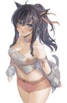  1girl ahoge animal_ears arm_strap ati_(user_udhn5578) avatar_(ff14) bandeau bare_shoulders black_hair blue_eyes breasts cat_ears cat_girl cat_tail choker cleavage collarbone commission cowboy_shot crop_top facial_mark final_fantasy final_fantasy_xiv grey_jacket highres jacket long_hair looking_at_viewer medium_breasts midriff miqo&#039;te navel off_shoulder open_clothes open_jacket parted_lips pink_shorts ponytail revealing_clothes short_shorts shorts simple_background solo stomach strapless tail thighs tube_top white_background white_choker 