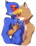  2017 anthro avian beak bird bite blush bodily_fluids canid canine duo falco_lombardi feathers fox fox_mccloud fur male male/male mammal nintendo nude pec_grasp pecs simple_background star_fox sweat teba_motoko teeth video_games 