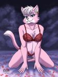  2020 anthro bed bedding bite biting_lip biting_own_lip bra breasts chest_tuft cleavage clothed clothing digital_media_(artwork) domestic_cat ear_piercing ear_ring felid feline felis female flower_petals fur furniture hair heresy_(artist) hi_res inner_ear_fluff katt_monroe kneeling lingerie looking_at_viewer mammal nintendo on_bed panties petals piercing pink_body pink_fur pink_nose self_bite solo star_fox teeth tuft underwear underwear_only video_games white_hair 