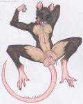  anthro balls big_balls bodily_fluids brown_body brown_fur buckteeth collar foreskin fur genital_fluids genitals hi_res humanoid_genitalia humanoid_penis looking_at_viewer lying male mammal murid murine nails on_back penis precum rat red_eyes rodent shephard solo spread_legs spreading teeth toots uncut vein veiny_penis whiskers 