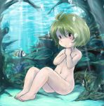  1girl air_bubble barefoot blush bob_cut breath brown_eyes bubble chidori_(wakakusachidori) clutching_chest completely_nude convenient_censoring coral fish flat_chest green_hair hands_on_own_neck holding_breath looking_at_viewer nude ocean_bottom original ravine short_hair sitting underwater 