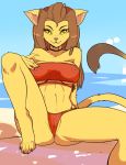  alien anthro beach bikini breasts brown_hair caitian camel_toe clothing damn_lasso_tool erect_nipples felid feline female fur genitals hair hi_res long_hair long_tail looking_at_viewer m&#039;ress mammal nipple_outline nipples pussy sand seaside sky solo spread_legs spreading star_trek star_trek_the_animated_series swimwear translucent translucent_clothing yellow_eyes 