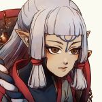 1girl bodysuit_under_clothes brown_eyes chiyotae eye_symbol facial_mark forehead_mark hair_tubes hat_on_back highres hyrule_warriors:_age_of_calamity impa pointy_ears sheikah the_legend_of_zelda the_legend_of_zelda:_breath_of_the_wild white_hair 
