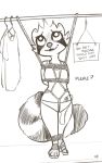  alec8ter anthro bdsm bondage bound clothed clothing english_text female fur mammal monochrome open_mouth open_smile panties procyonid raccoon rope rope_bondage rope_harness sex_toy shirt sign smile solo t-shirt tank_top text topwear underwear vibrator 