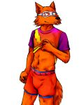  alpha_channel anonymous_artist anthro boxers_(clothing) canid canine clothed clothing clothing_lift fox fox_e_flinn headgear hi_res male mammal navel running_shorts safety_goggles shirt solo t-shirt topwear underwear 