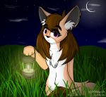  anthro canid canine female fennec fox grass hi_res jknewlife lantern mammal moon night sky solo 