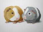  animal_focus commentary_request dutch_commentary hamster no_humans original painting_(medium) realistic simple_background suzan_visser traditional_media white_background 