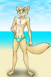 anthro beach body_hair bulge clothing dizzyvixen feet happy_trail hi_res male mammal mustelid musteline outside paws seaside slim solo speedo swimwear tobin_(dizzyvixen) true_musteline weasel