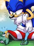 absurd_res anthro avian bird duo eulipotyphlan fan_character hedgehog hi_res macro male male/male mammal micro pinned pinned_to_ground sega sex shadydaone sonic_the_hedgehog sonic_the_hedgehog_(series) step_position stepped_on stepping teasing
