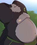 2024 anthro belly big_belly black_body black_nose clothing dippubear generation_6_pokemon hi_res jockstrap male moobs navel nintendo nipples overweight overweight_male pangoro pokemon pokemon_(species) solo underwear white_body