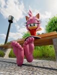 5_toes amy_rose anthro bench feet female foot_fetish foot_focus hi_res humanoid_feet jony1991 low-angle_view outside park plantigrade sega soles solo sonic_the_hedgehog_(series) toes