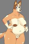 absurd_res anthro australian_cattle_dog big_breasts bluey_(series) breasts canid canine canis cattledog chilli_heeler domestic_dog female genitals herding_dog hi_res mammal mature_female nipples overweight overweight_female pastoral_dog pussy solo solo_focus terminalvermin