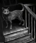 ambiguous_gender animated canid canine canis creepy domestic_dog eldritch_abomination feral fingers fur hi_res mammal quadruped qwertfx solo stairs tail teeth