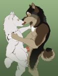  absurd_res anthro arctic_wolf canid canine canis docking duo hi_res hornyarcticwolf incorgnito_(artist) kissing male male/male mammal penile sex wagwolftail wolf 