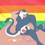 anal anal_masturbation animated anthro aricks137 balls bed bodily_fluids butt clothing erection furniture genital_fluids genitals grey_body hi_res lgbt_pride long_tail male masturbation on_bed open_mouth penis pillow pink_penis precum sergal sex_toy solo tail tongue tongue_out underwear white_body yellow_eyes yellow_penis