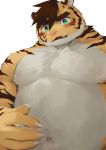  absurd_res anthro blush clothed clothing countershade_torso countershading felid feline fur gaoemon3 hi_res male mammal pantherine solo striped_body striped_fur stripes tiger topless 