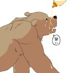  2008 anthro belly black_nose brown_body brown_fur fur honey_(disambiguation) japanese_text kemono kotori low_res mammal simple_background slightly_chubby solo text ursid white_background 