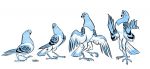  2016 ambiguous_gender anthro avian beak bird coin columbid feathered_wings feathers feral feral_to_anthro kabuki_homewood open_mouth pigeon sequence solo standing surprise talons transformation wings 