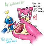  amy_rose cheese_the_chao nitrotitan sonic_team sonic_the_hedgehog 