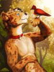  2020 3:4 anthro avian bird blue_eyes cheetah chromamancer collar day detailed_background digital_media_(artwork) duo felid feline feral forest grass hi_res male mammal nude outside smile tree 