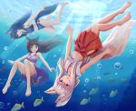  3girls :d absurdres air_bubble animal animal_ear_fluff animal_ears bangs bare_arms bare_legs bare_shoulders barefoot black_hair blue_eyes brown_eyes bubble cat_ears cat_tail commentary_request crop_top day eyebrows_visible_through_hair fish folded_ponytail fox_ears fox_girl fox_tail freediving hair_between_eyes hakama hakama_skirt highres iroha_(iroha_matsurika) japanese_clothes kimono long_hair midriff multiple_girls navel open_mouth original outdoors purple_eyes purple_kimono red_hakama sidelocks silver_hair smile sunlight tail underwater upside-down very_long_hair water 