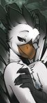  angiewolf anthro avian beak bird chest_tuft chocobo claws feathers final_fantasy fletcher_quill half-closed_eyes headshot hi_res male narrowed_eyes smile solo square_enix tail_feathers tuft video_games white_body white_feathers 