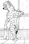  2016 aafiya_khalil_(spiff) ambiguous_gender anthro arm_tuft bathtub black_and_white black_nose broad_shoulders butt cheek_tuft dipstick_tail elbow_tufts eyelashes facial_tuft female female_(lore) fur hand_on_door holding_object holding_towel hyaenid looking_at_viewer looking_back mammal monochrome multicolored_tail nude opening_door plantigrade rear_view scapula scruffy shoulder_blades shoulder_tuft shower sliding_door solo spiff spots spotted_body spotted_fur spotted_hyena spotted_tail tile_floor towel tuft 