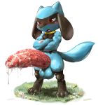  anthro baby_pok&eacute;mon balls big_penis blush bodily_fluids collar crossed_arms cum cum_on_penis foreskin genital_fluids genitals grass hi_res huge_penis hyper hyper_genitalia hyper_penis kuroma looking_down male nintendo partially_retracted_foreskin penis pok&eacute;mon pok&eacute;mon_(species) riolu solo sweat uncut vein veiny_penis video_games 