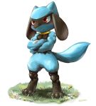  anthro baby_pok&eacute;mon blue_body collar crossed_arms grass hi_res kuroma male muscular muscular_arms nintendo nude pok&eacute;mon pok&eacute;mon_(species) red_eyes riolu solo video_games 