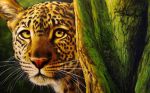  felid feral leopard looking_at_viewer mammal oil_painting_(artwork) painting_(artwork) pantherine raipun realistic solo traditional_media_(artwork) tree whiskers yellow_eyes 