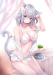  animal_ears bikini cleavage detexted meito_harmren nekomimi open_shirt see_through swimsuits tail wet wet_clothes 