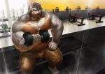  2020 5_fingers anthro barazoku barbell beard belly bench biceps biped blue_eyes body_hair bottomwear brown_beard brown_body brown_bottomwear brown_clothing brown_fur brown_hair brown_pants bulge canid canine canis chest_hair claws clothed clothing detailed_background digital_media_(artwork) exercise eyebrows eyewear facial_hair fingers fur glasses grey_body grey_fur gym hair hi_res hybrid inner_ear_fluff male mammal maximus_(silverback088) multicolored_body multicolored_fur musclegut muscular muscular_anthro muscular_male mustache navel nviek5 on_bench open_mouth pants pecs sideburns sitting slightly_chubby solo toes topless tuft two_tone_body two_tone_fur ursid vein weight_bench weightlifting weights wolf workout 