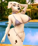  101_dalmatians 3d_(artwork) anthro big_breasts big_butt bikini black_nose black_spots breasts butt canid canine canis carbiid3 clothing collar dalmatian digital_media_(artwork) disney domestic_dog female hi_res mammal mature_female perdita solo spots swimwear thick_thighs white_body wide_hips 