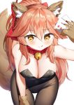  animal_ears cleavage fate/grand_order pantyhose tagme tail tamamo_cat 