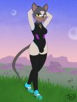  3:4 absurd_res anthro breasts bulge clothed clothing digital_media_(artwork) domestic_cat eyelashes fan_character felid feline felis female footwear fur grass hi_res intersex legwear looking_at_viewer mammal mountain planet rubber rubber_suit shoes solo sonic_the_hedgehog_(series) stockings text timidwithapen 