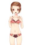  1girl absurdres bra brown_eyes brown_hair digimon digimon_adventure_02 hair_ornament hairclip highres looking_at_viewer navel open_mouth panties short_hair simple_background smile solo tho_minami underwear white_background yagami_hikari 