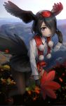  kemono_friends pantyhose tail welt_(kinsei_koutenkyoku) wings 