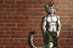  3:2 abs anthro black-kitten bottomwear clothing felid feline finnian_ennis green_bottomwear green_clothing green_eyes green_shorts hair hi_res male mammal pantherine pubes red_hair shorts smile smirk solo tiger wall_(disambiguation) 