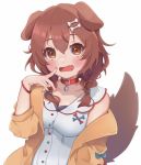  1girl animal_ears bangs bone_hair_ornament brown_eyes brown_hair buttons collar commentary_request dog_collar dog_ears dog_girl dog_tail dress fang hair_between_eyes hair_ornament hololive inugami_korone jacket long_hair low_twin_braids red_collar simple_background tail temari_maco virtual_youtuber white_dress wristband yellow_jacket 