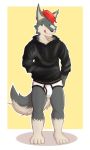  anthro black_clothing black_hoodie black_topwear briefs bulge canid canine clothing drawyourfursona fox hi_res hoodie hoodie/briefs_meme male mammal meme meme_clothing simple_background solo standing topwear underwear unknown_artist white_clothing white_underwear 