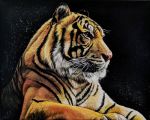  5:4 ambiguous_gender felid feral fur mammal orange_body orange_fur pantherine realistic solo stripes_(marking) tiger whiskers yuezeng-mn 