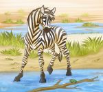  amphibian equid equine frog jenery male mammal pasture pose river savanna solo water zebra 