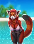  ailurid anthro beach black_body black_fur black_lips black_nose breasts brown_body brown_fur clothed clothing day detailed_background eyebrows eyelashes female fur hair hi_res lips mammal open_mouth orange_eyes outside red_hair red_panda sand seaside shoreline sky smile solo teeth text tongue url water wyla 